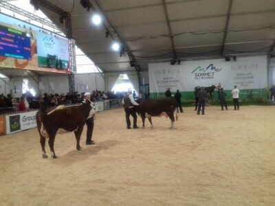 Sommet de l'elevage 2019