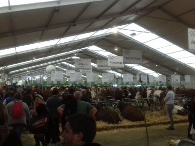 Sommet de l'elevage 2019