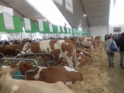 Sommet de l'elevage 2019