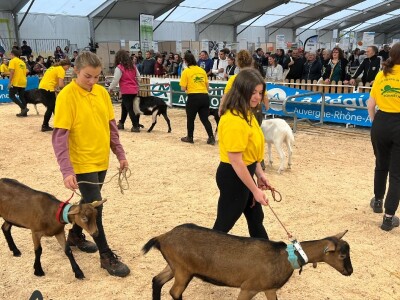 Sommet de l'Elevage 2023