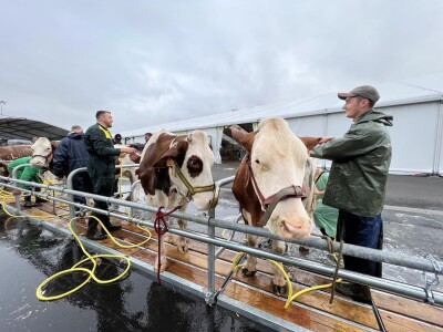 Sommet de l'Elevage 2023