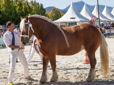 Sommet de l'Elevage 2023 Sommet de l'Elevage 2023