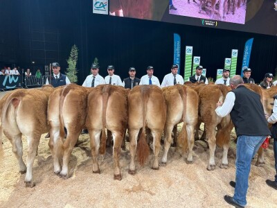 Sommet de l'Elevage 2024 Sommet de l'Elevage 2024