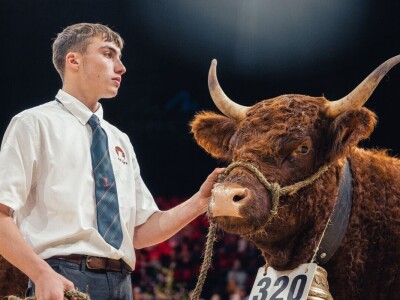 Sommet de l'Elevage 2024