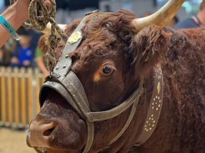 Sommet de l'Elevage 2024 Sommet de l'Elevage 2024