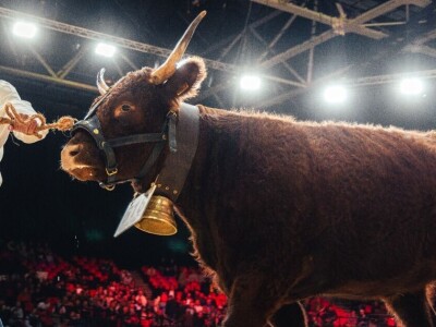 Sommet de l'Elevage 2024 Sommet de l'Elevage 2024