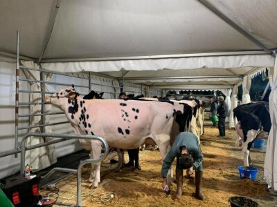 Sommet de l'Elevage Sommet de l'Elevage