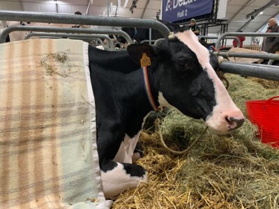 Sommet de l'Elevage Sommet de l'Elevage