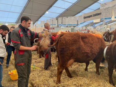 Sommet de l'Elevage Sommet de l'Elevage