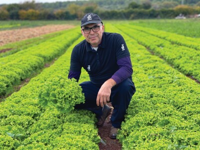 Bejo Zaden sorte salata