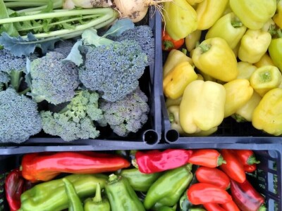 SOPG Maja Degmečić - "no dig" princip