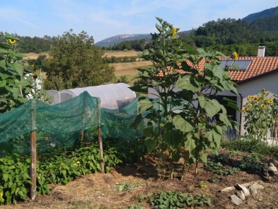 SOPG Maja Degmečić - "no dig" princip