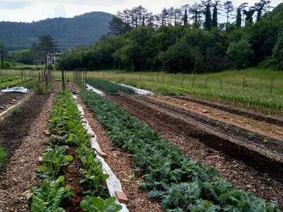 SOPG Maja Degmečić - "no dig" princip