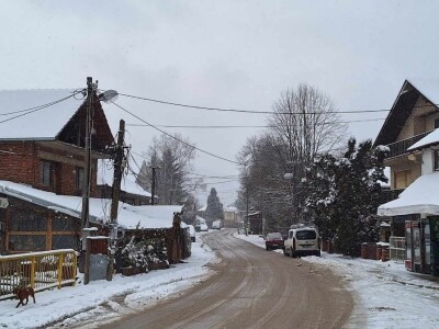 Sopstveni biznis započeli u podnožju Suve planine