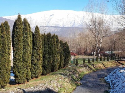 Sopstveni biznis započeli u podnožju Suve planine