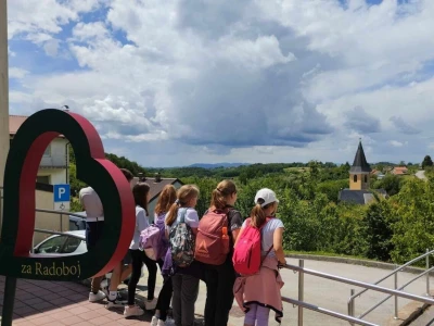 Sorta belina i Hiža vinove loze