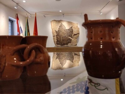 Sorta belina i Hiža vinove loze