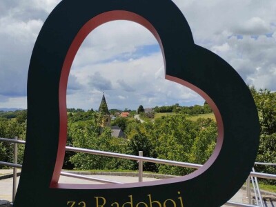 Sorta belina i Hiža vinove loze