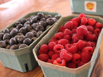 Sovkhoz Lenjin, Moskva