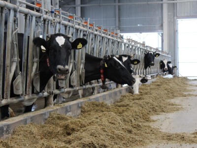 Sovkhoz Lenjin, Moskva