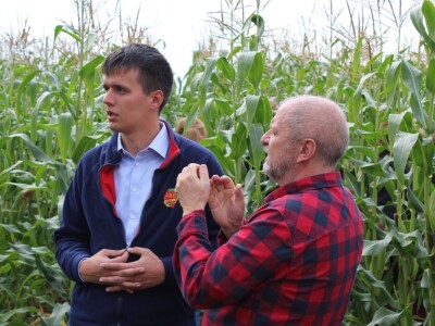 Sovkhoz Lenjin, Moskva Sovkhoz Lenjin, Moskva