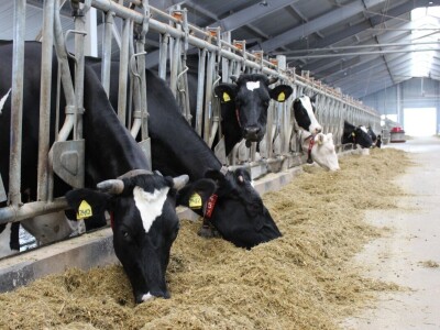 Sovkhoz Lenjin, Moskva Sovkhoz Lenjin, Moskva