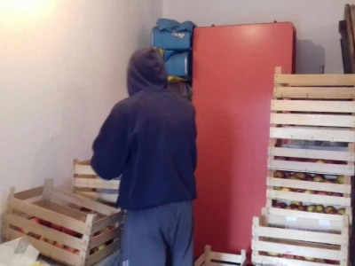 Vaganje jabuka i spremanje u sanduke, pa na prodaju