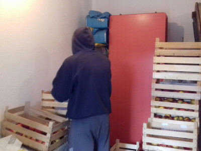 Vaganje jabuka i spremanje u sanduke, pa na prodaju Vaganje jabuka i spremanje u sanduke, pa na prodaju