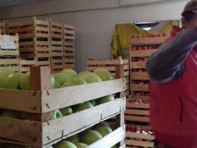 Sinovi pomažu, a uskoro će i preuzeti posao Sinovi pomažu, a uskoro će i preuzeti posao