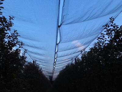 Te kupili protugradnu mrežu Te kupili protugradnu mrežu