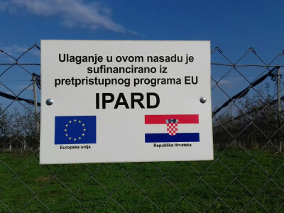 Zahvaljujući IPARD-u posadili su i mladi voćnjak Zahvaljujući IPARD-u posadili su i mladi voćnjak