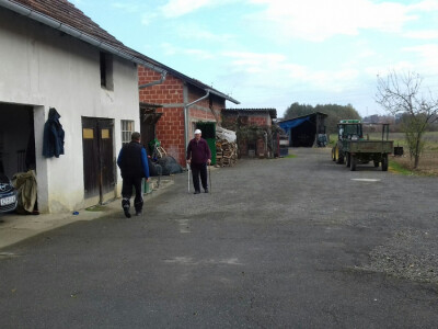 Na gospodarstvu je uvijek radno Na gospodarstvu je uvijek radno