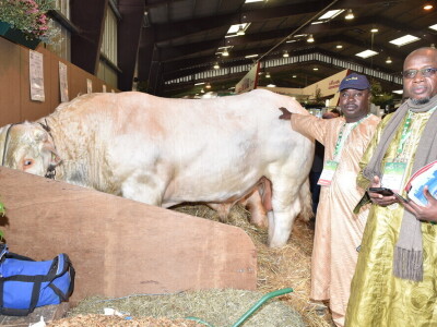 Space 2019: Mesto susreta stočara, profesionalaca i nauke