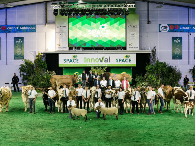 Space 2019: Mesto susreta stočara, profesionalaca i nauke