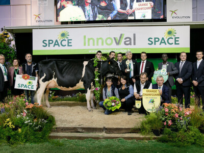 Space 2019: Mesto susreta stočara, profesionalaca i nauke