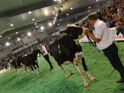 Space 2019: Mesto susreta stočara, profesionalaca i nauke