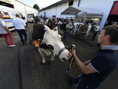 Space 2019: Mjesto susreta stočara, profesionalaca, znanosti