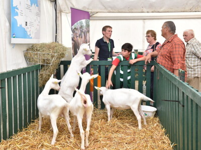 Space 2019: Mjesto susreta stočara, profesionalaca, znanosti