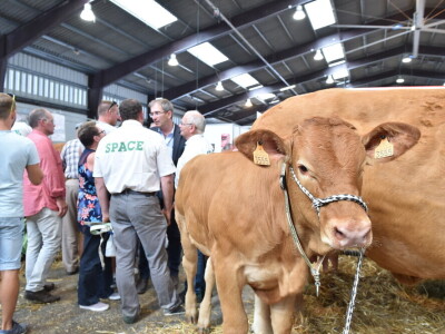 Space 2019: Mjesto susreta stočara, profesionalaca, znanosti