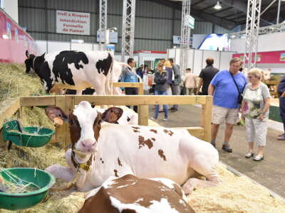 Space 2019: Mjesto susreta stočara, profesionalaca, znanosti