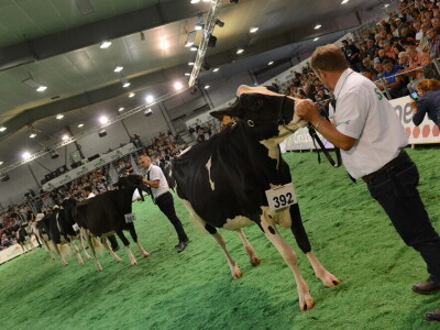 Space 2019: Mjesto susreta stočara, profesionalaca, znanosti