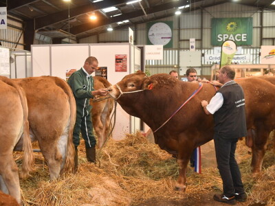 Space 2019: Mjesto susreta stočara, profesionalaca, znanosti