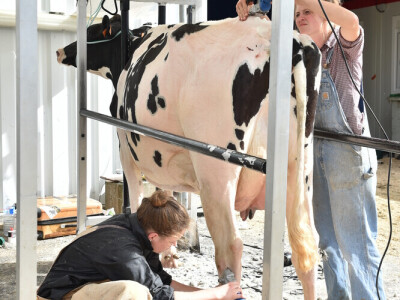 Space 2019: Mjesto susreta stočara, profesionalaca, znanosti