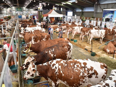 Space 2019: Mjesto susreta stočara, profesionalaca, znanosti