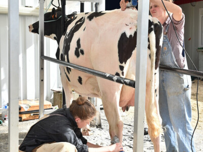 Space 2019: Mjesto susreta stočara, profesionalaca, znanosti