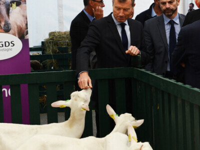 Space 2019: Mjesto susreta stočara, profesionalaca, znanosti