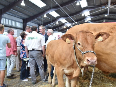 Space 2019: Mjesto susreta stočara, profesionalaca, znanosti