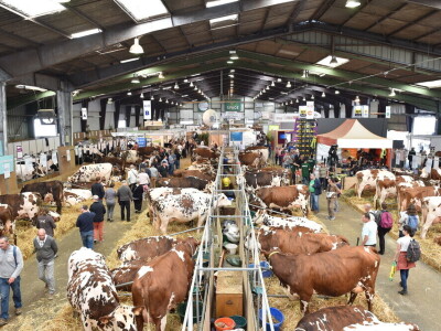 Space 2019: Mjesto susreta stočara, profesionalaca, znanosti