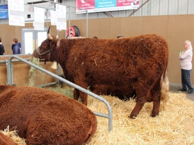 SPACE 2019 Rennes, Francuska