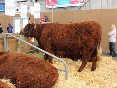 SPACE 2019 Rennes, Francuska